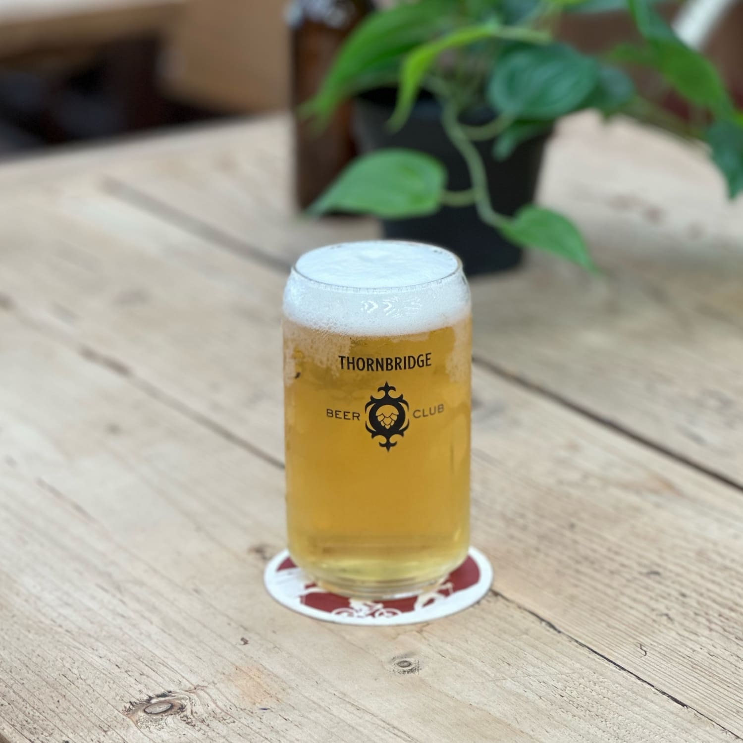 Beer Club Can Glass